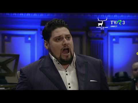 Alin Stoica - Nessun dorma (Gala Premiilor M.L.N.R.)