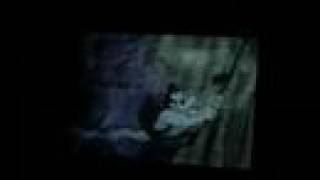 Weird Al&#39;s &quot;George Of The Jungle&quot; Video Clip