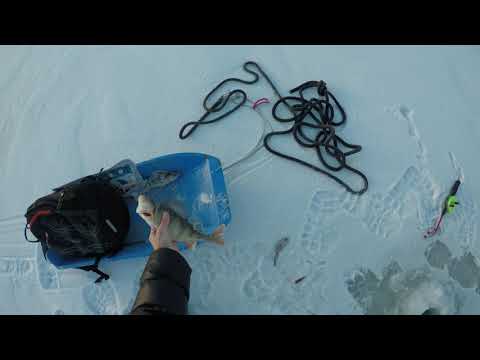 snappertuna 24.12.2019