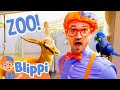 Blippi S Summer Adventures At The Zoo Blippi Summer Special 2023