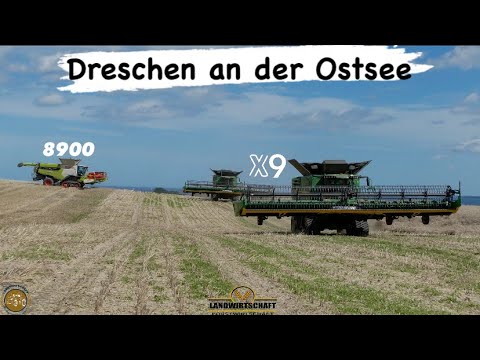 Dreschen an der Ostsee mit Großmähdrescher - Joh Deere X9 & Claas 8900 XXXL Rapsernte im Sommer 2023