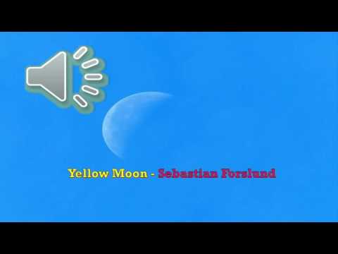 Yellow Moon  By Sebastian Forslund- [Indie Pop Music]
