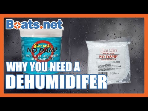 Why You Need a Dehumidifier for Your Boat | How to Prevent Mold on a Boat | Boats.net