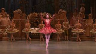 Fairies Variations   The Sleeping Beauty   Paris Opéra Ballet   2013