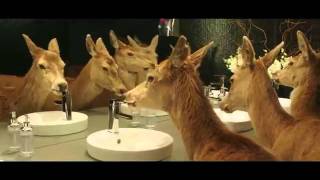 THE BEER FOR THE NOCTURNAL MIGRATION - Tooheys Extra Dry.mp4