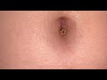 My Girlfriend S Bellybutton Close Up And Needle