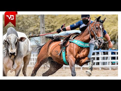Eu Era Playboy da Cidade - Forró dos Tops (Clipe Vaquejada) VB Oficial