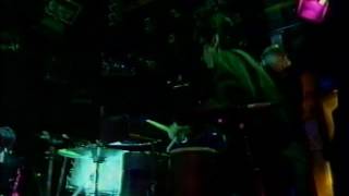 The Cramps Bikini Girls Wih Machine Guns, Muleskinner Blues Live On The Late Show 26.02.90