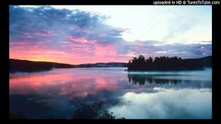 Armin Van Buren - Simple Things (CystemicCyanide Remix)