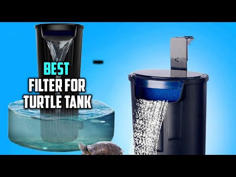 Best Filter for Turtle Tank in 2026 - Top 5 Review | Magniflow Canister Filters
