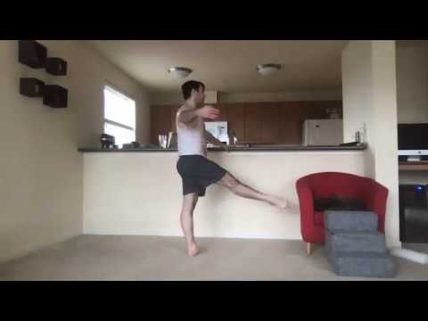Quarantine Ballet Class #1: Professional/Advanced