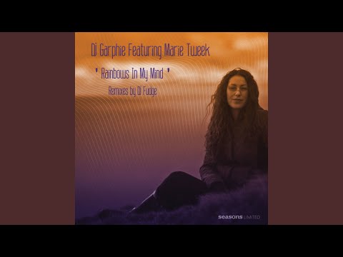Rainbows In My Mind (DJ Fudge Remix)