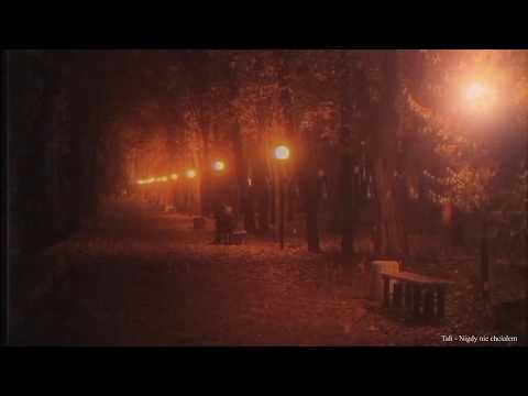 Tałi - Nigdy nie chciałem..