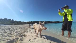 Sailing Charter Exumas, Bahamas