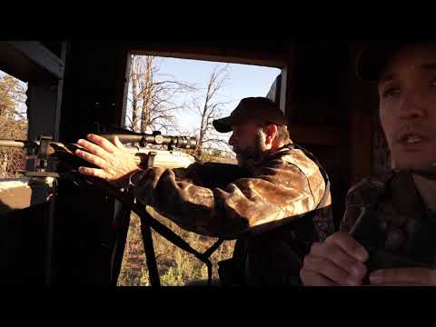 Trijicon Tip — Monster Buck Ready Even in Low Visibility