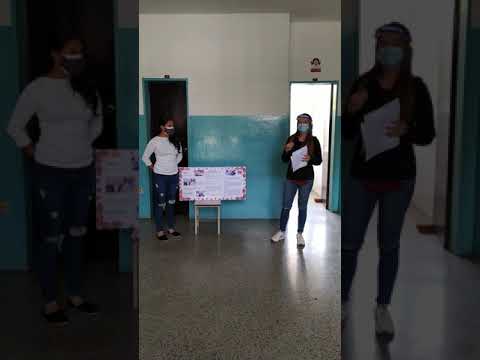 Jornada de esterilización de gatos. 14/05/2021. Aylin Dugarte y Mariangel Garrido. Autodesarrollo
