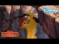 De Leeuwenwacht | Kion in Gevaar! ? | Disney Channel NL