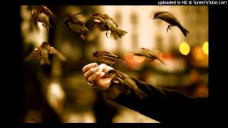 bread of stone - Jesus is The Way