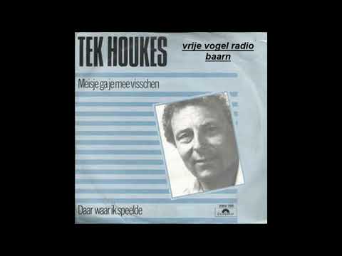 Tek Houkes   daar waar ik speelde 1982