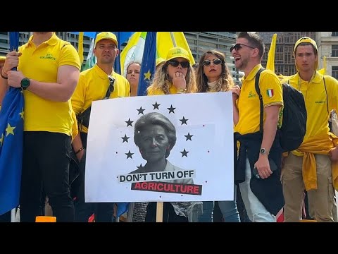 Schwarzer Tag für die Bauern? EU-Kommission senkt Agraranteil im Rekordhaushalt
