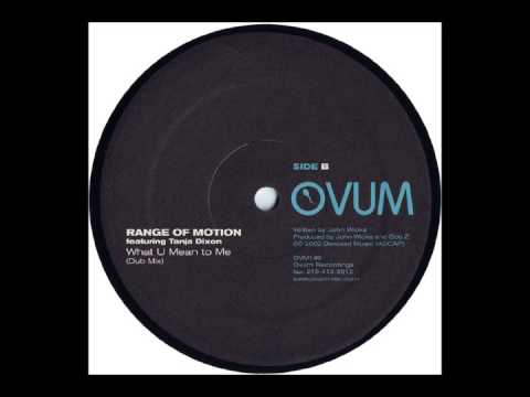 Range of Motion feat. Tanja Dixon - What U Mean To Me (Dub Mix)