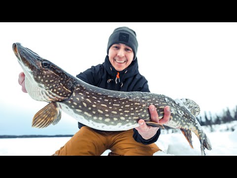 On a mission to find pike in new places 