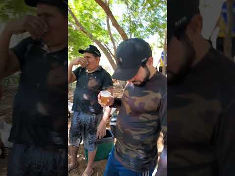 Grupo de pesca rede rasgada Agricolandia Piauí