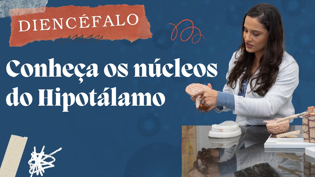 Conheça os núcleos hipotalâmicos! (centro da fome/saciedade/sede/ritmo circadiano/termorreguladores)