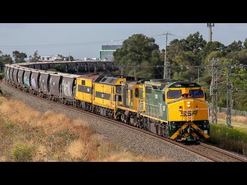 A Day of Grain Trains on the North East Mainline | QUBE 5VA1, PN 5CK5 & SSR 4NK3