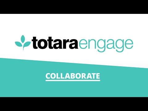 Video Image