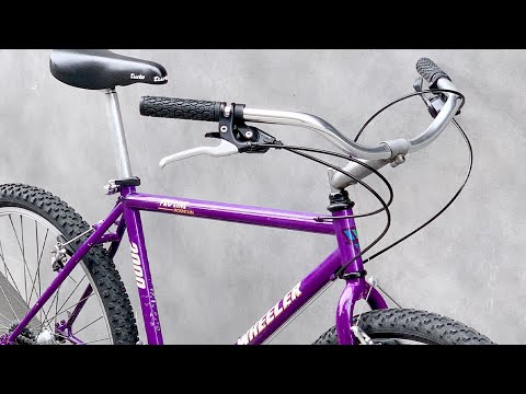 90s bike restoration - old mtb into fun commuter - Wheeler 2000