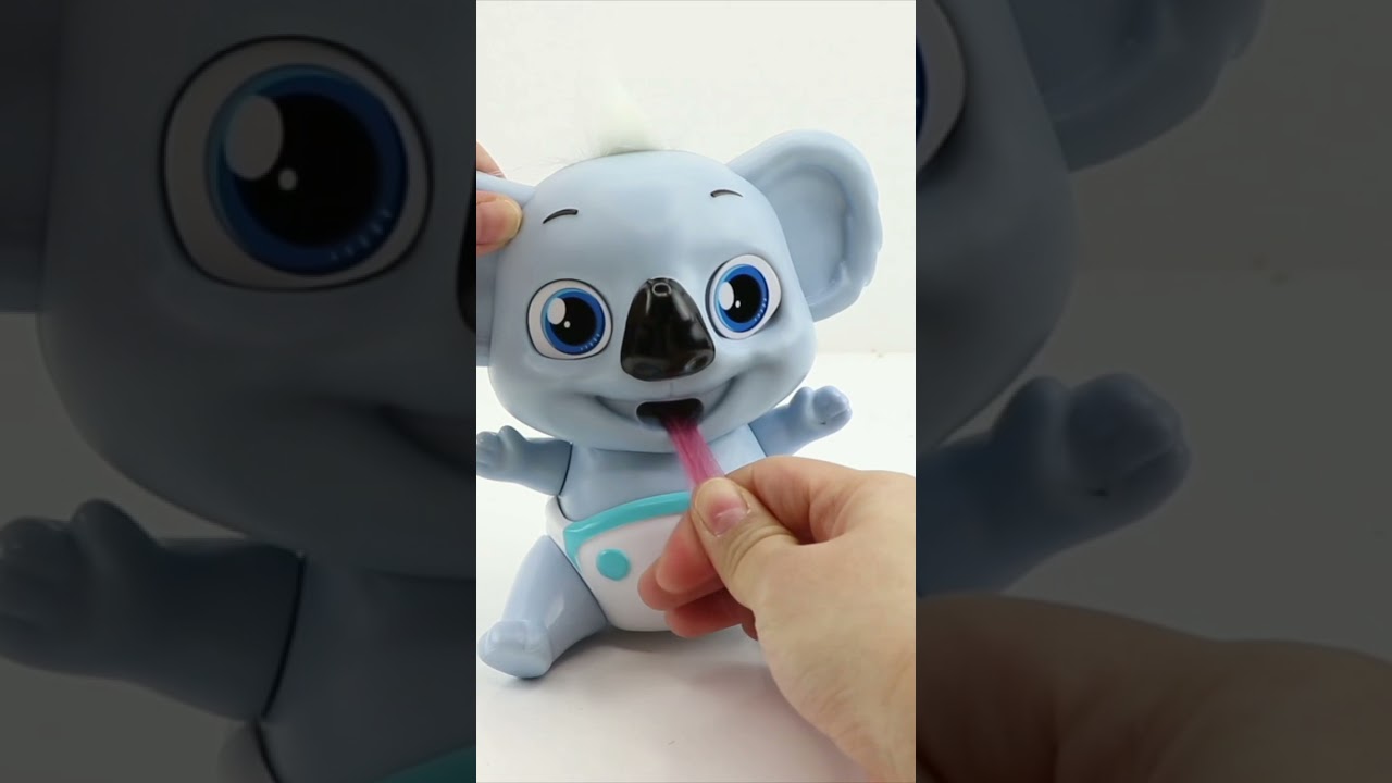 Can this koala really eat your hair? #funny #cute