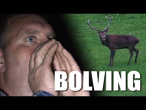 Bolving