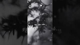 Download lagu Yethu pantha pasam 🖤🥲 #whatsappstatus #sad #lyrics #tamilsong #hearttouching #family #trending mp3 Download lagu Yethu pantha pasam 🖤🥲 #whatsappstatus #sad #lyrics #tamilsong #hearttouching #family #trending mp3