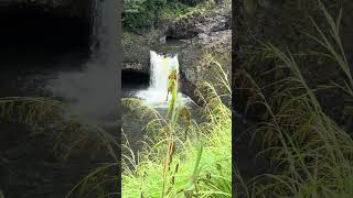 #cruise #adventure #funtimes #vacation #travel #travelphotography #vlog #blog #cruiseadventure