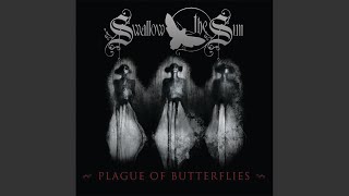 Plague of Butterflies: Losing the Sunsets - Plague of Butterflies - Evael 10:00