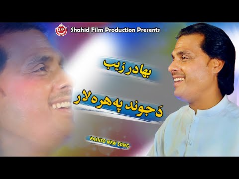 Bahadar Zaib - DA JUWAND PA HARA LAR | پشتو مستہ سندرہ | Bahadar Zaib Song