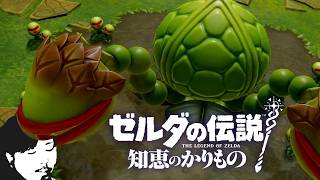 【#27】ゼルダの伝説 知恵のかりもの初見辛口でプレェイ【実況プレイ】