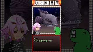 まるでクリーチャー！！？な深海生物「ニュウドウカジカ」さん