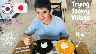 Snowy Village Dessert Cafe Calgary. Trying Bingsoo (Korean) & Taiyaki (Japanese) @mrcanadavlogs5681