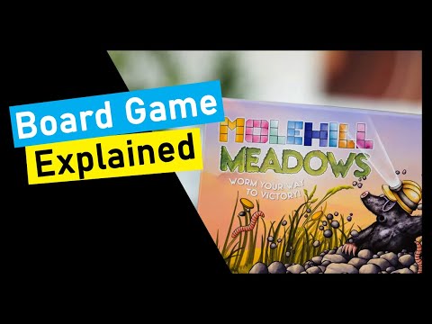 Is Molehill Meadows for you? A Quick Overview!