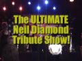 Neil Diamond - Love On The Rocks