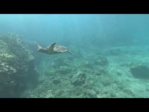 5 Caves 5 Graves Dive 1