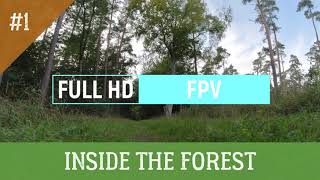 INSIDE THE FOREST / Record by DJI OSMO ACTION