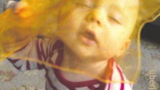 Curtis Knew - John Scofield