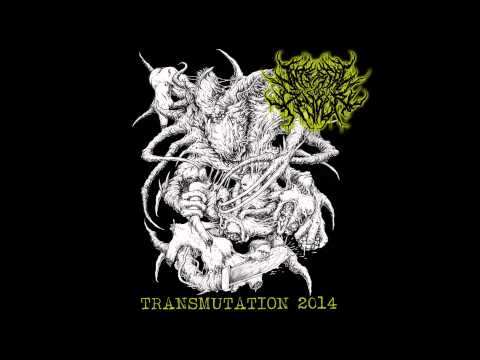 Internal Devour- Marinated Remnants of the Putrid [New Song 2014]