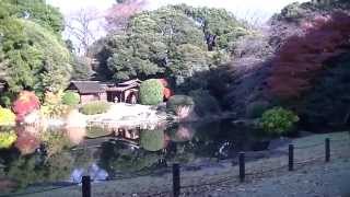 preview picture of video 'Ueno (TOKYO - Dicembre 2013)'