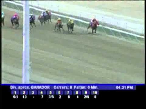 Resumen Domingo, 19 de Febrero de 2012 - La Rinconada