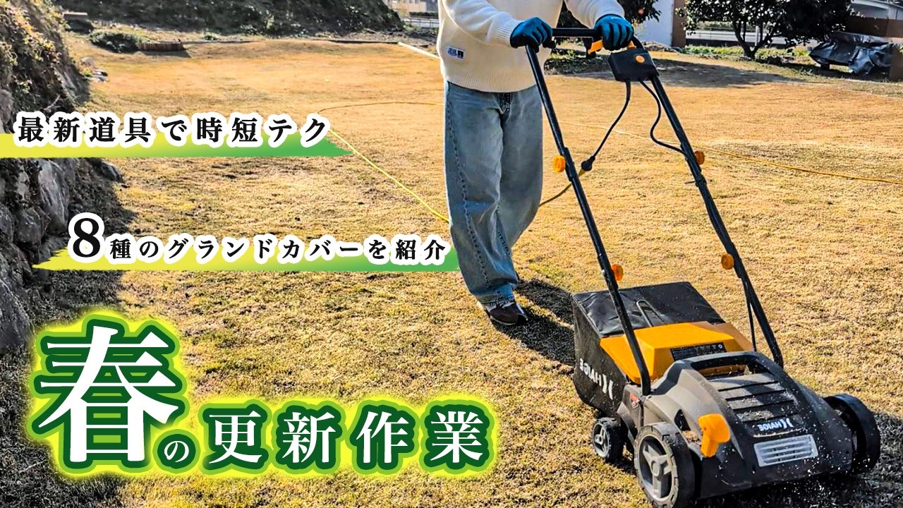 春の芝生お手入れ全工程！いろんな道具を使って紹介します