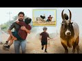 Naga Chaitanya Tollywood Biggest Blockbuster Movie Ultimate Scene Krithi Shetty Kotha Cinema